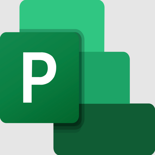 Microsoft Project Professional 2016 2019 2021 2024 Lifetime Digital Download